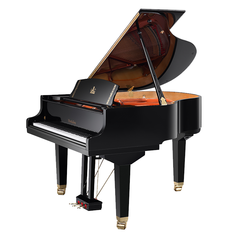 Wendl&Lung  W152BK Рояль акустический, черный 